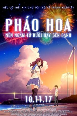 Pháo Hoa Nên Ngắm Từ Dưới Hay Bên Cạnh