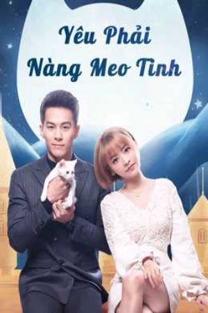 Yêu Phải Nàng Meo Tinh