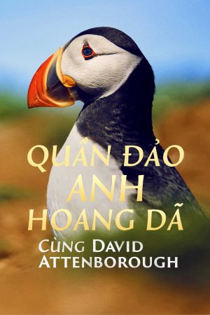 Quần Đảo Anh Hoang Dã